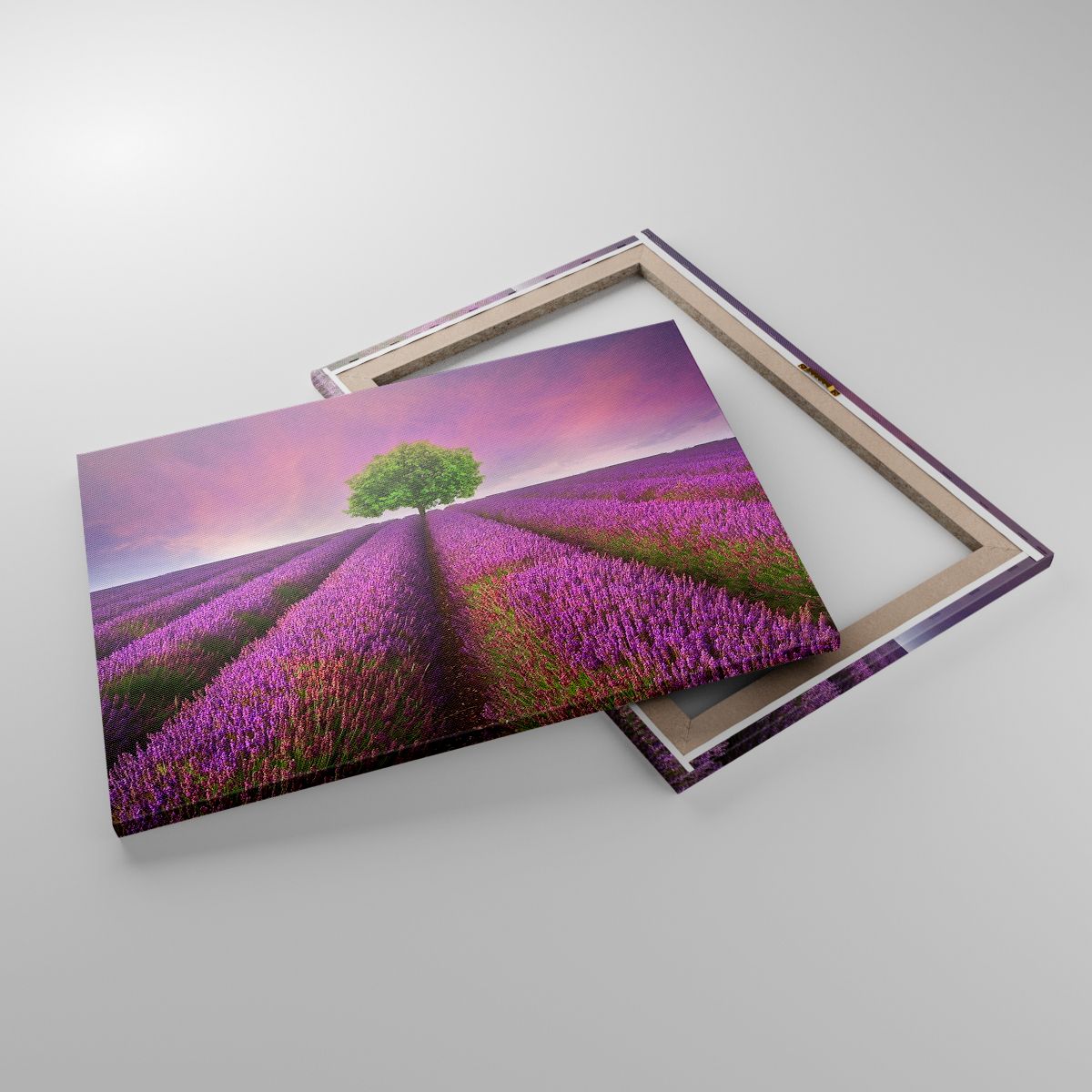 Leinwandbild Landschaft, Leinwandbild Lavendelfeld, Leinwandbild Natur, Leinwandbild Der Sonnenuntergang, Leinwandbild Baum