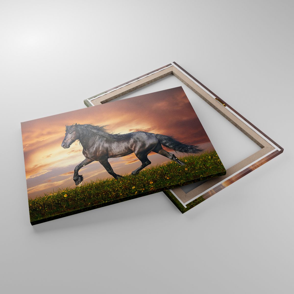 Leinwandbild Tiere, Leinwandbild Arabisches Pferd, Leinwandbild Landschaft, Leinwandbild Natur, Leinwandbild Galopp