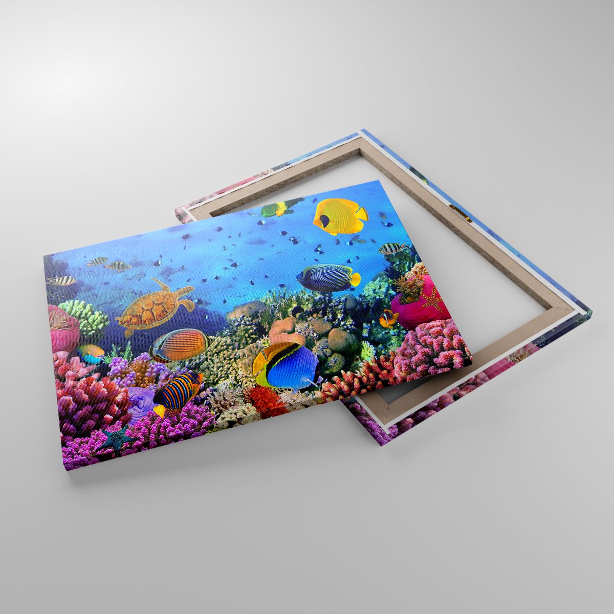 Leinwandbild Korallenriff, Leinwandbild Unterwasserwelt, Leinwandbild Fische, Leinwandbild Karibik, Leinwandbild Tauchen