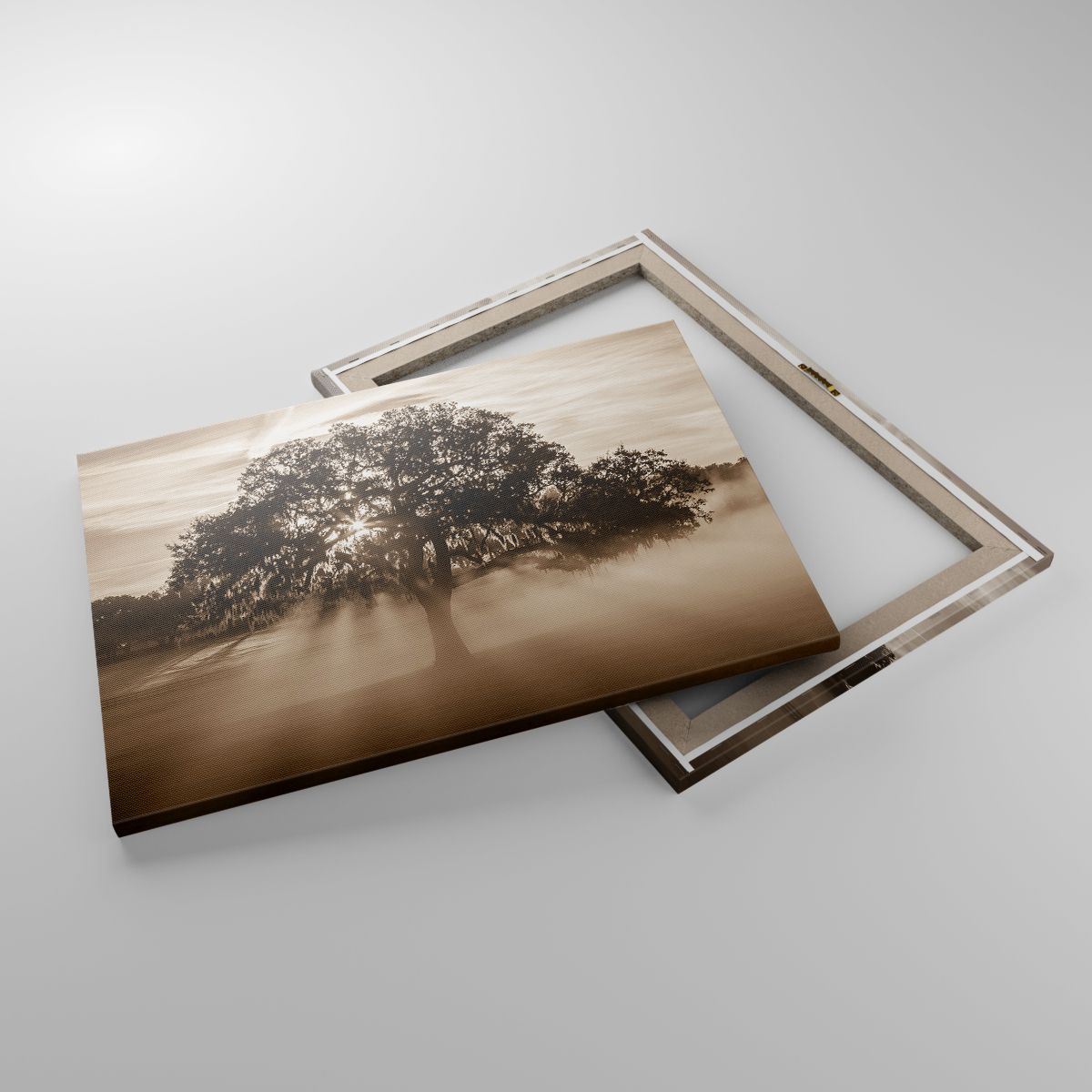 Leinwandbild Landschaft, Leinwandbild Baum, Leinwandbild Sonnenstrahlen, Leinwandbild Sepia, Leinwandbild Nebel