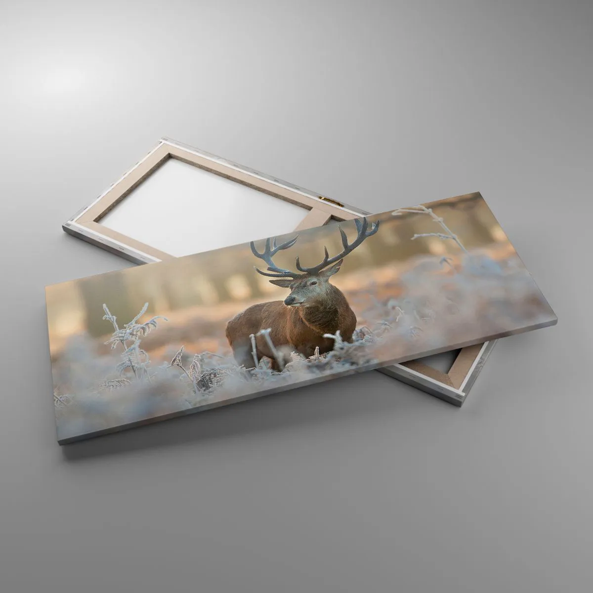 Vászonkép - Friss reggel - 100x40 cm