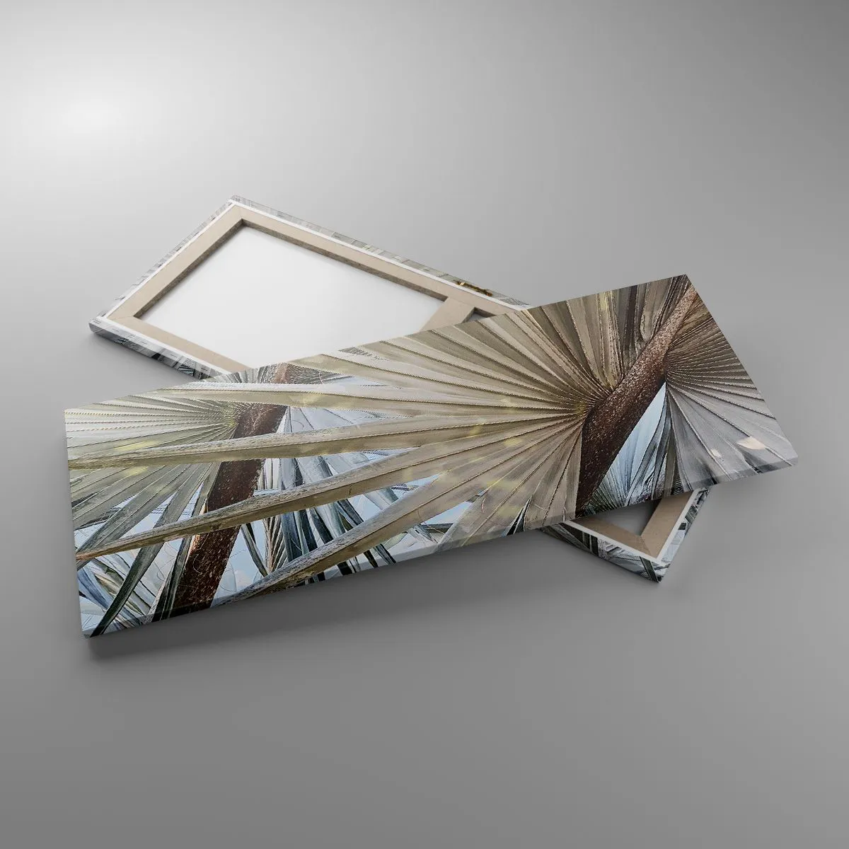 Impression sur toile - Image sur toile - Evantail sous les tropiques - 100x40 cm