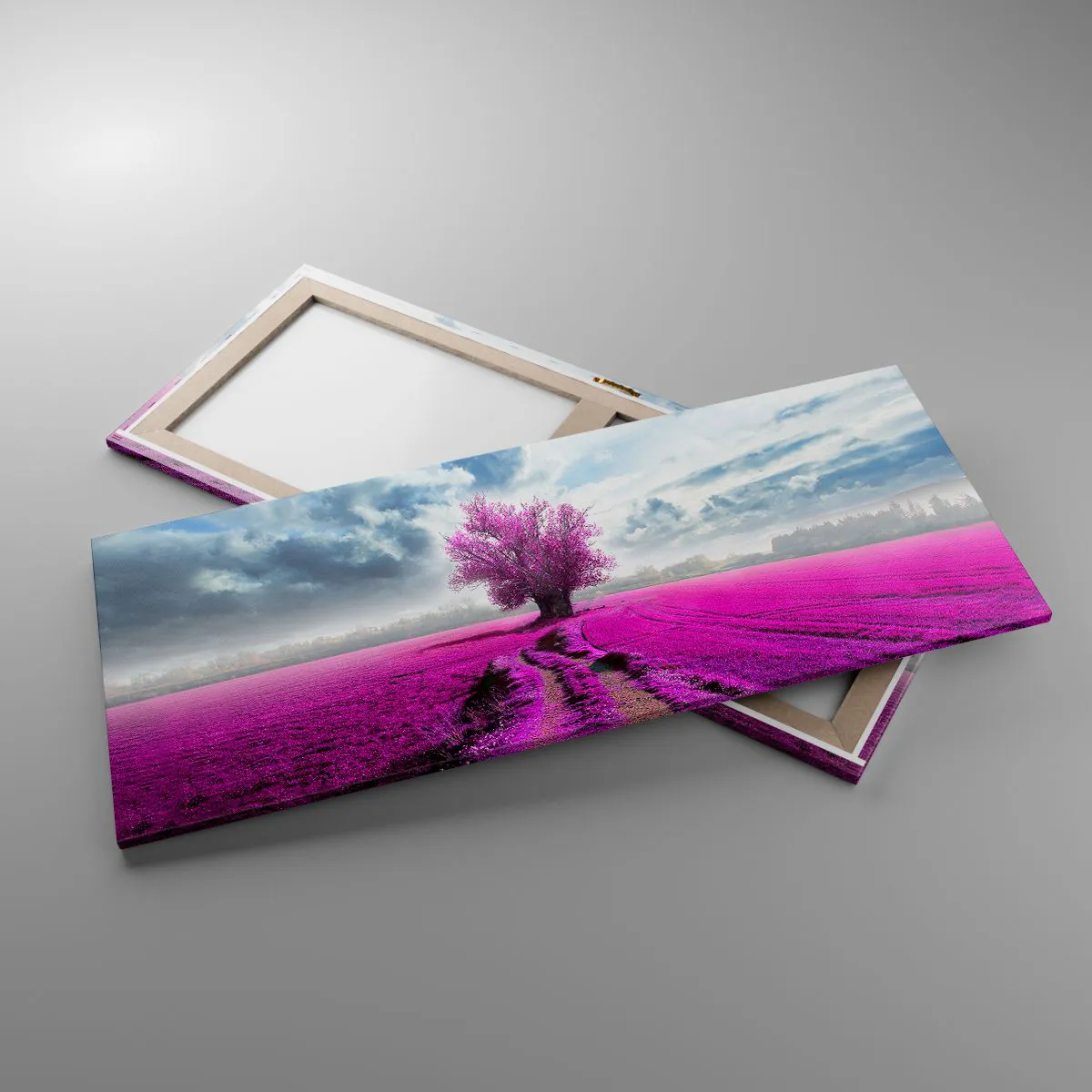 Obraz na plátně - Vřesoviště - divočina - 120x50 cm