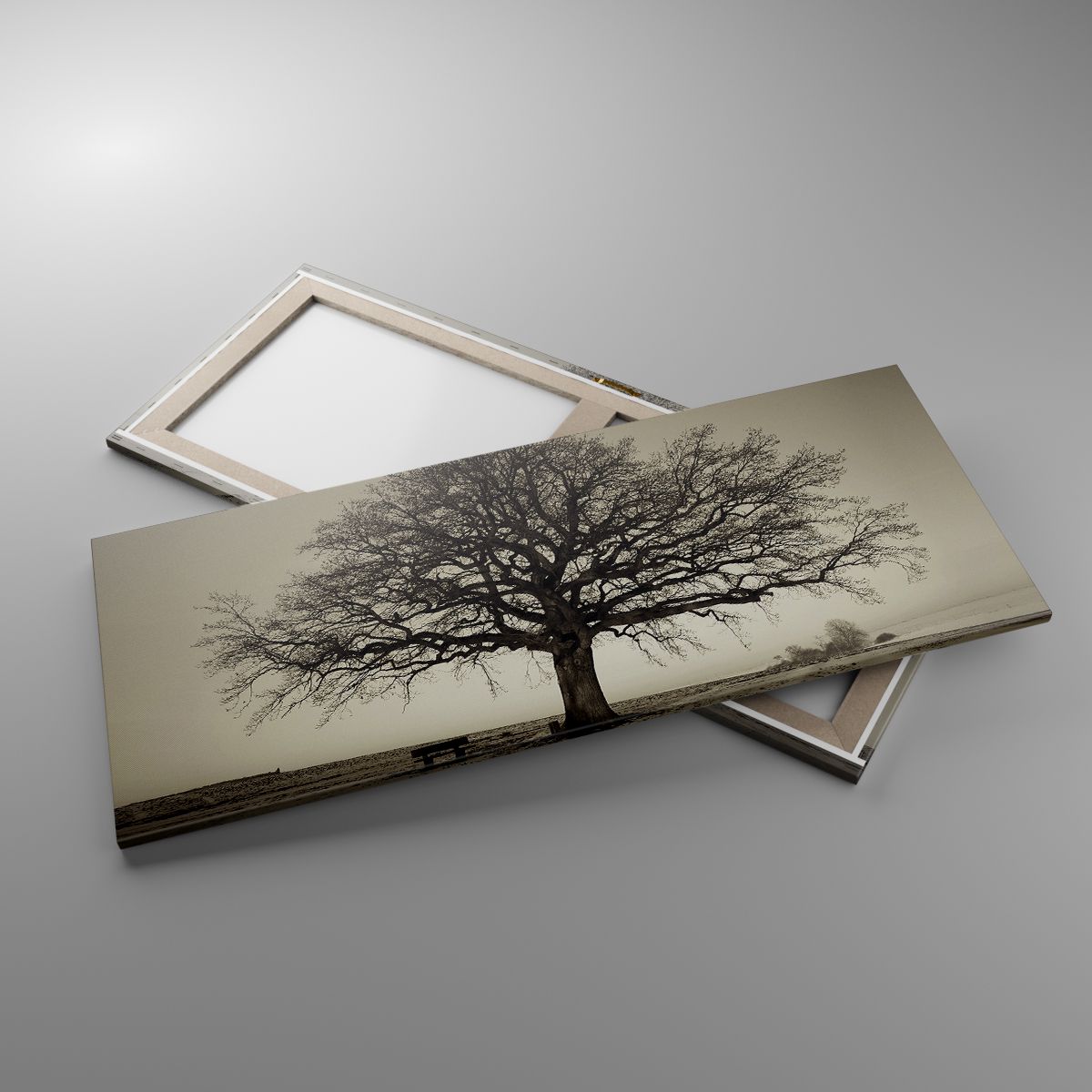 Moderne Impression sur Verre Arbre Neige Sépia Image