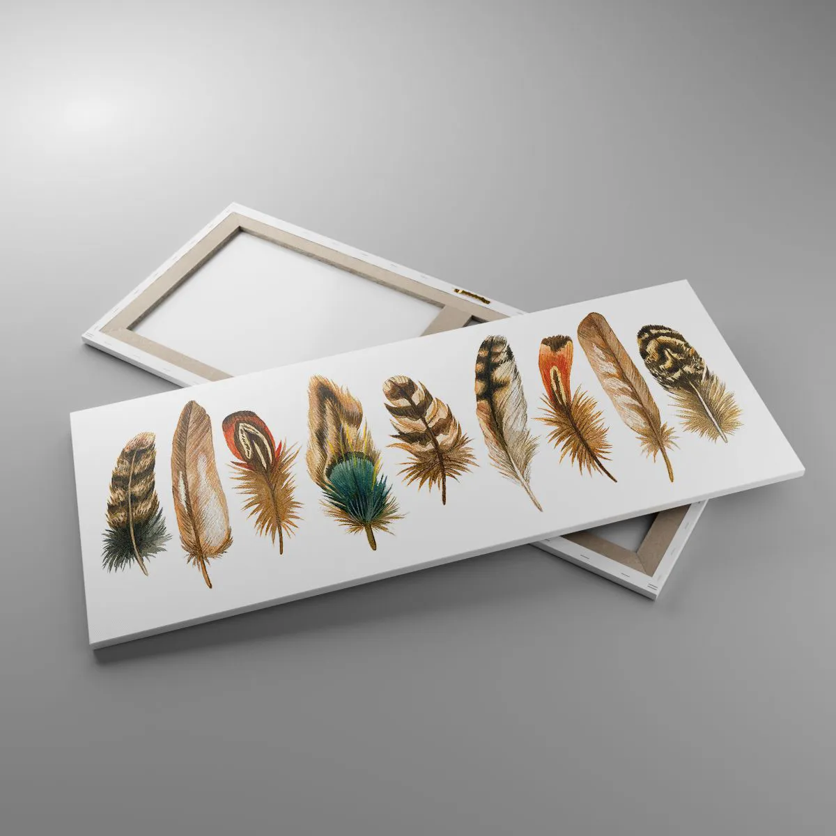 Impression sur toile - Image sur toile - Motif décoratif d'une collection de plumes diverses - 120x50cm - Variation à plumes - Décoration murale moderne pour le salon et la chambre ARTTOR