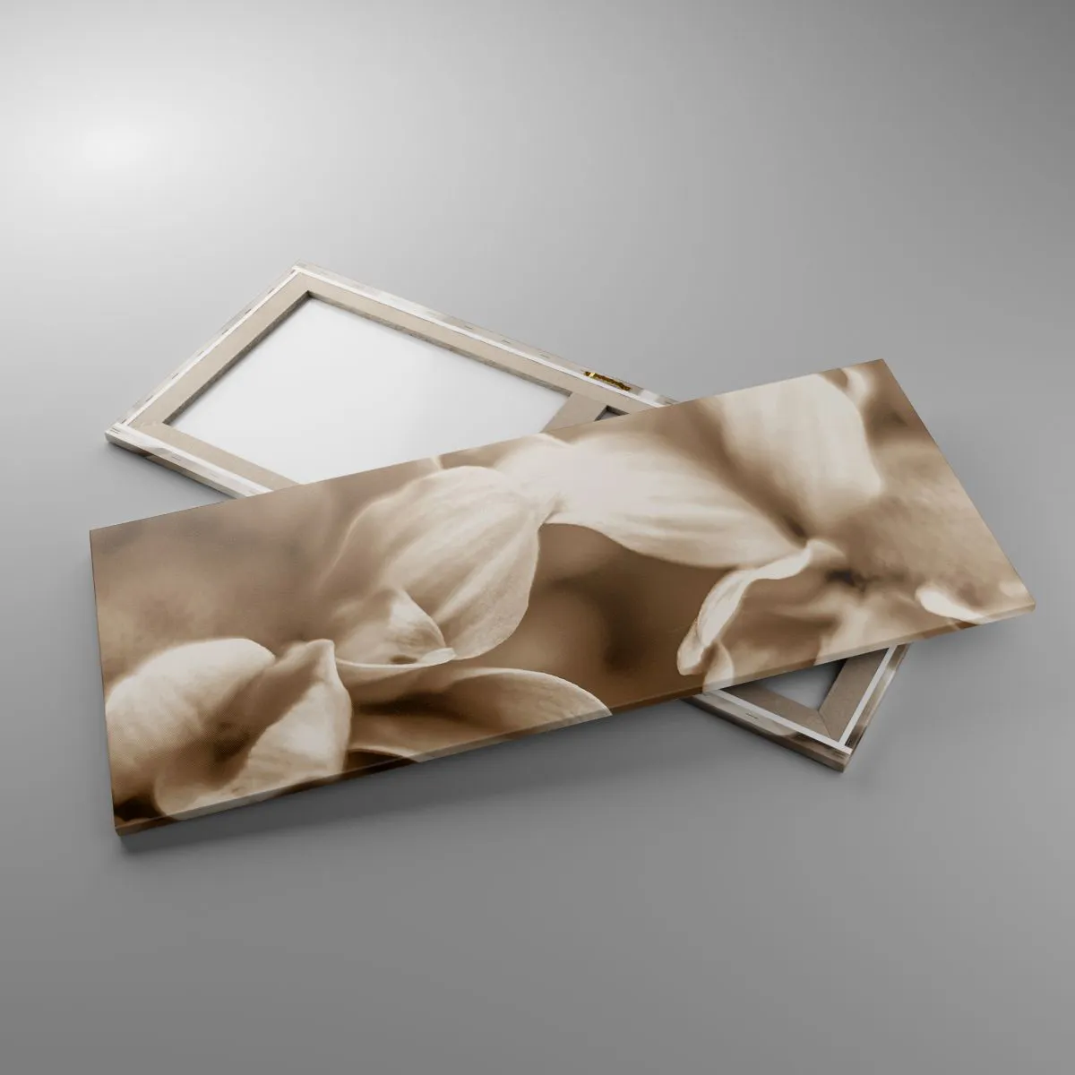 Impression sur toile - Image sur toile - Gros plan de fleurs dans un ton sépia délicat avec des contours doux - 120x50cm - Doux comme un sourire - Décoration murale moderne pour le salon et la chambre ARTTOR