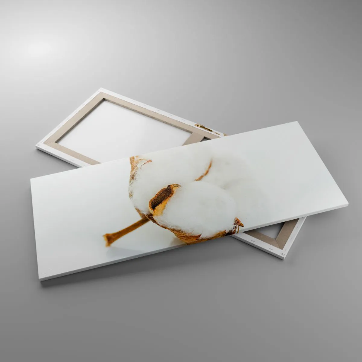Cuadro sobre lienzo - Impresión de Imagen - Una rama de algodón sobre un fondo claro en un enfoque minimalista. - 120x50cm - Suave por naturaleza - Decoración de pared moderna para salón y dormitorio ARTTOR