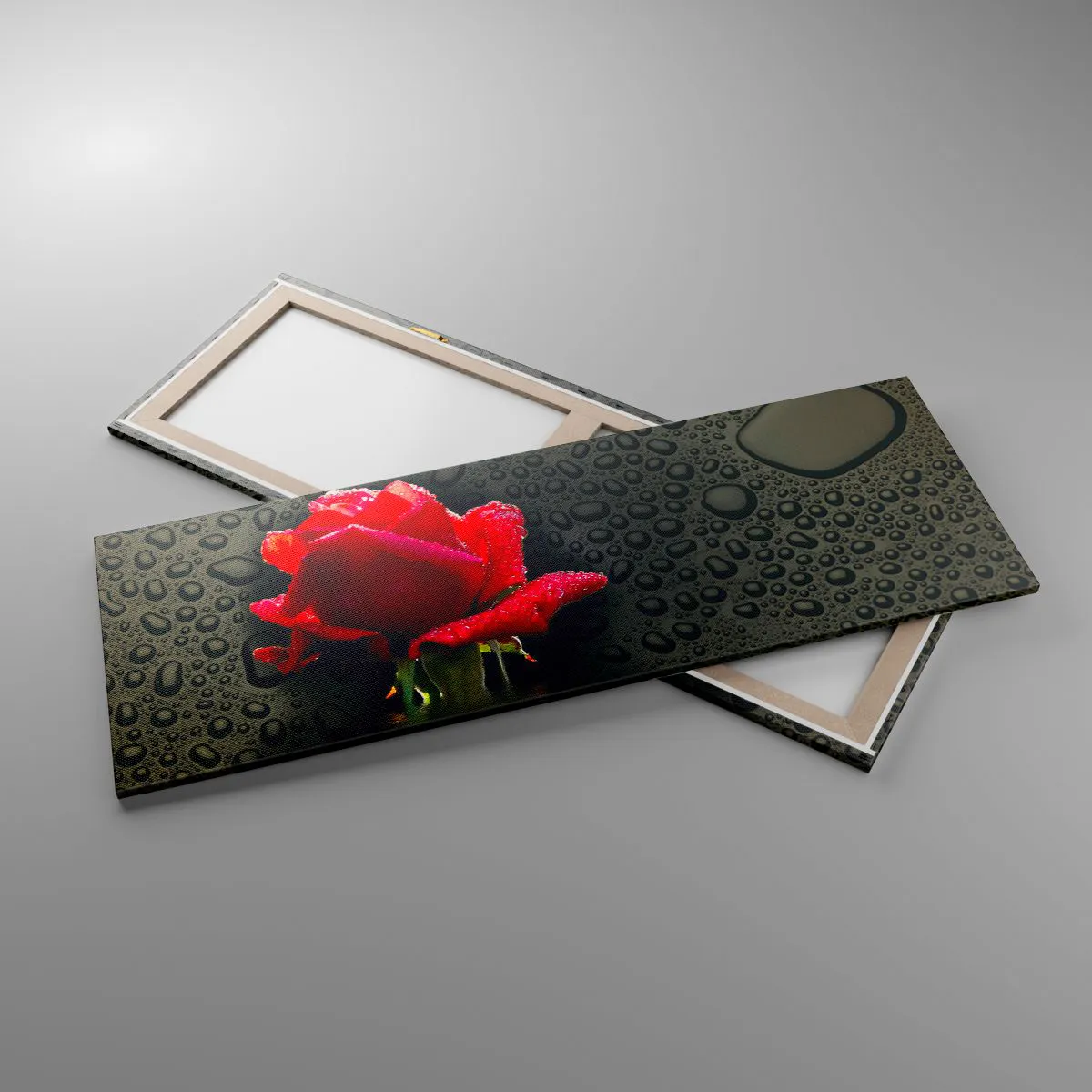 Obraz na płótnie - Czerwona róża z kroplami wody na tle ciemnym - 140x50cm - Czerwone i czarne - Nowoczesna dekoracja ścienna do salonu i sypialni ARTTOR