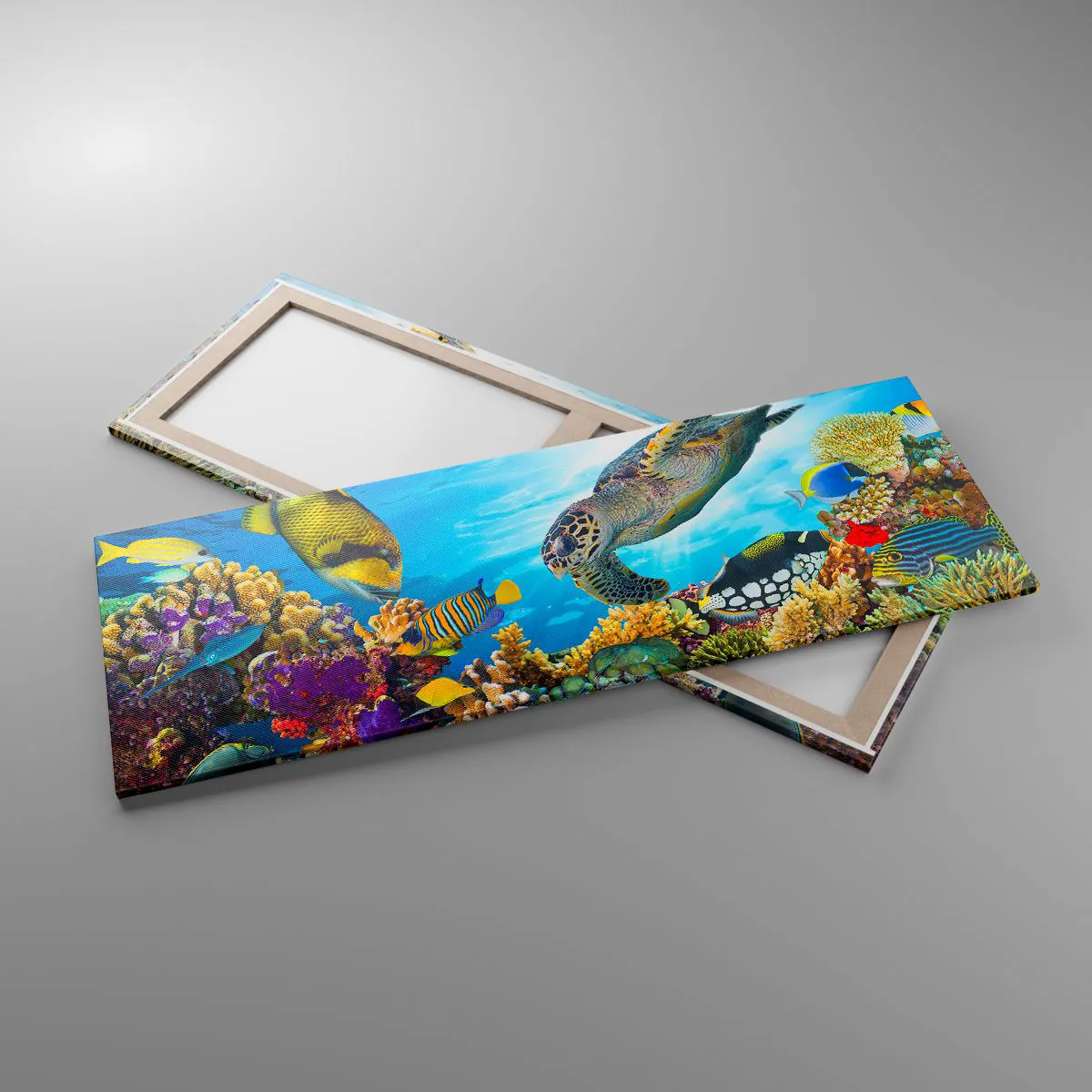 Bild auf Leinwand - Leinwandbild - Unterwasserwelt mit bunten Fischen und einer Schildkröte in den Korallen - 140x50cm - Korallenpromenade - Moderne Wanddekoration für Wohnzimmer und Schlafzimmer ARTTOR