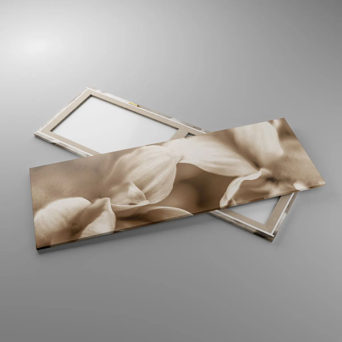 Obraz na płótnie - Zbliżenie kwiatów w delikatnej sepii o miękkich konturach - 140x50cm - Łagodne jak uśmiech - Nowoczesna dekoracja ścienna do salonu i sypialni ARTTOR