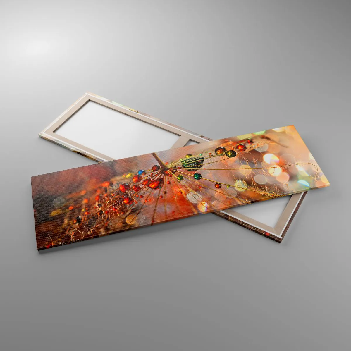 Canvas picture - Strung on a Spider's Web - 160x50 cm