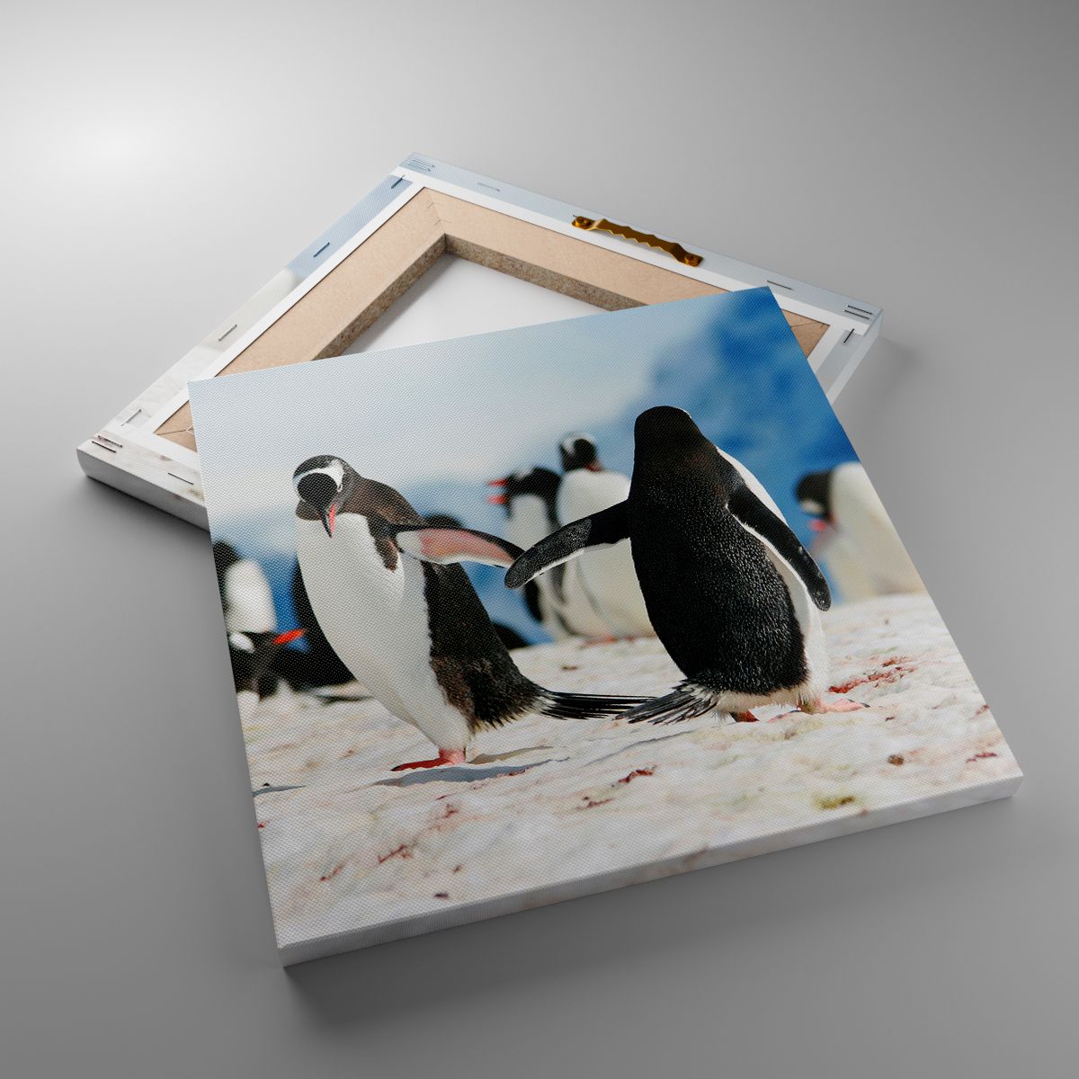 Obrazy Pingwin, Obrazy Antarktyda, Obrazy Krajobraz, Obrazy Śnieg, Obrazy Lód