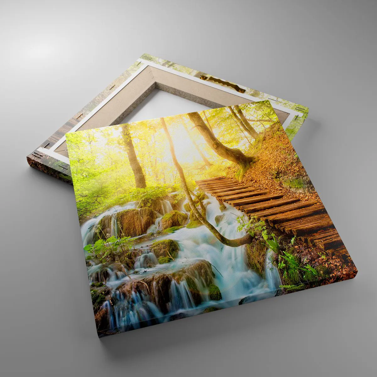 Quadro su tela - Stampe su Tela - Bramata freschezza - 30x30 cm