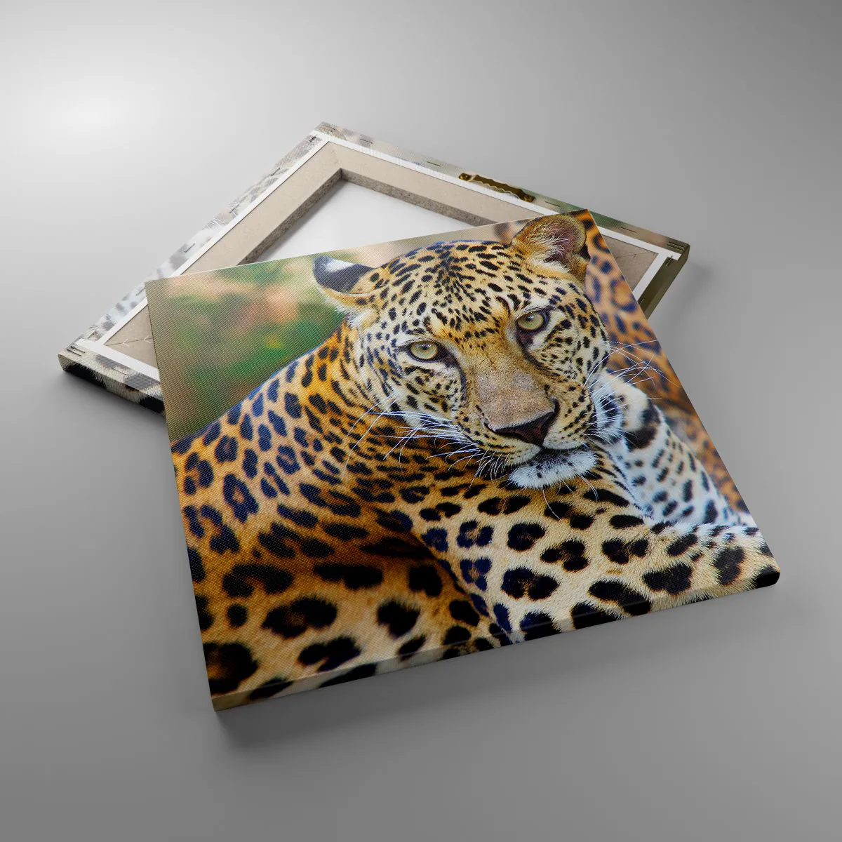 Cuadro sobre lienzo - Impresión de Imagen - Salvaje y tranquilo - 40x40 cm