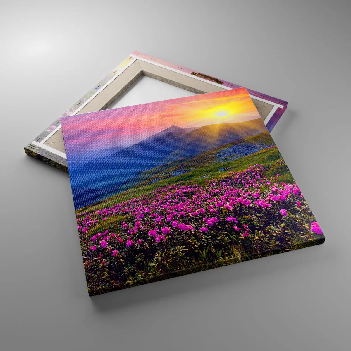 Tablou pe pânză - ... Și peste tot în jur se simte un miros de jneapăn și parfum de ierburi... - 40x40 cm