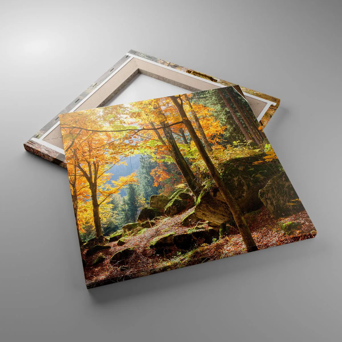 Obraz na plátně - Čas na odpočinek - 40x40 cm