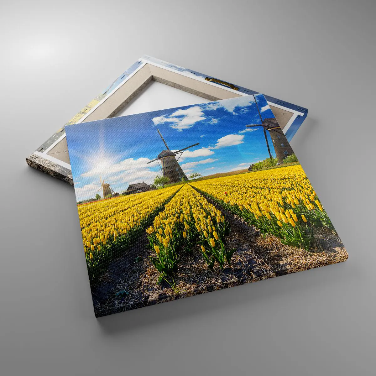 Vászonkép - Nem is lehetne hollandabb - 40x40 cm