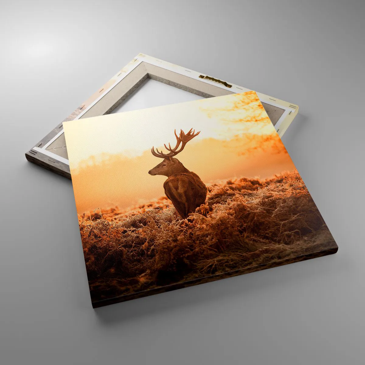 Quadro em tela - O senhor da propriedade - 40x40 cm