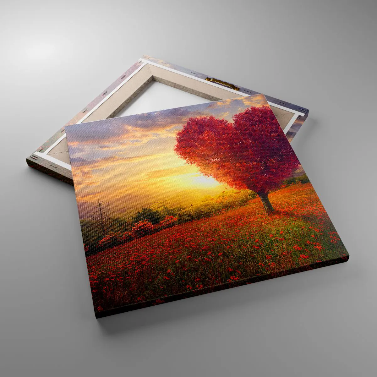 Cuadro sobre lienzo - Impresión de Imagen - Te atrapa el corazón - 40x40 cm