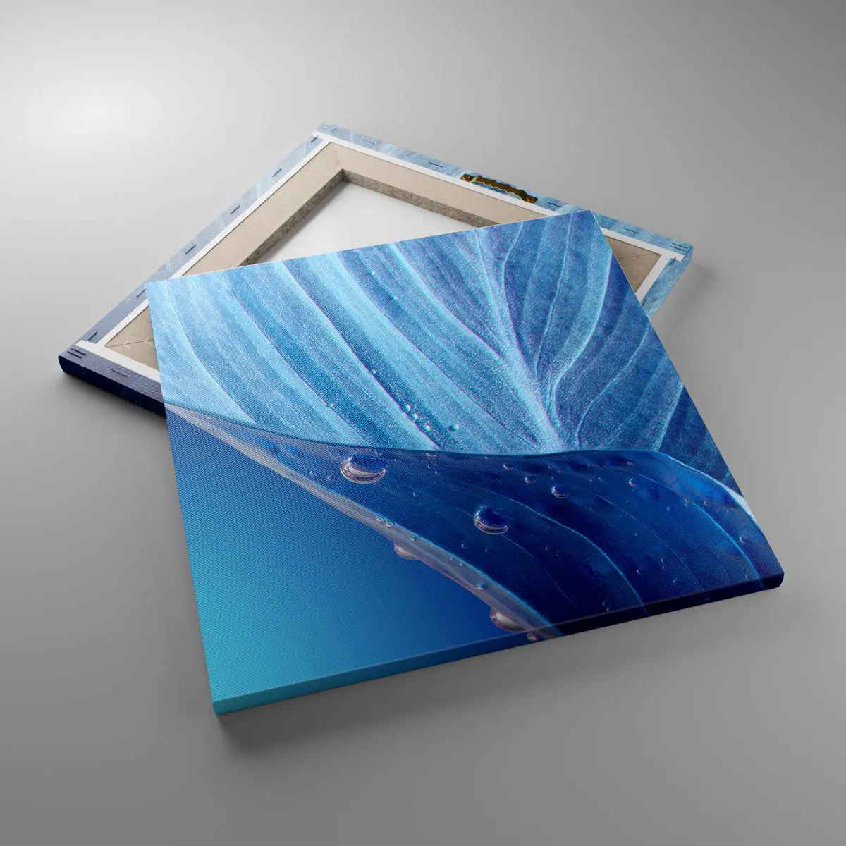 Impression sur toile - Image sur toile - Gouttes cachées du bleu - 40x40 cm