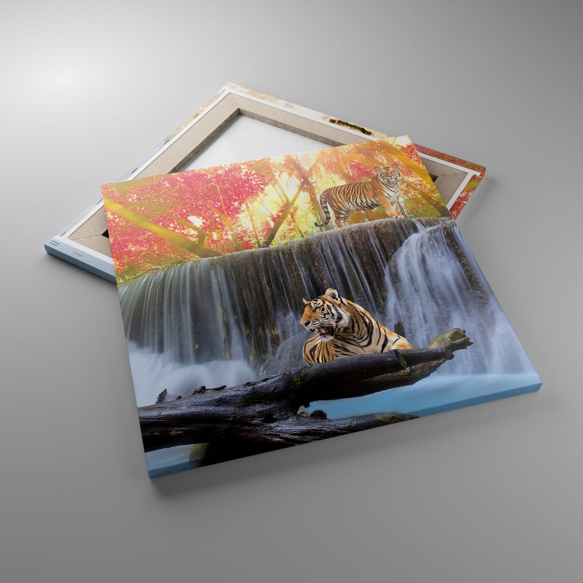 Leinwandbild Landschaft, Leinwandbild Wasserfall, Leinwandbild Tiger, Leinwandbild Natur, Leinwandbild Wald