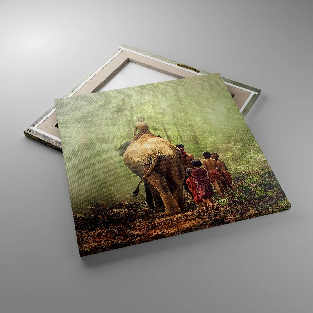 Obraz na płótnie - Nowa Księga Dżungli - 50x50 cm