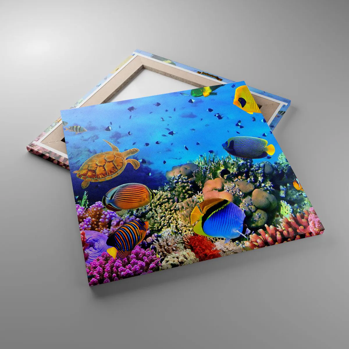 Vászonkép - És mit tudunk az életről... - 50x50 cm