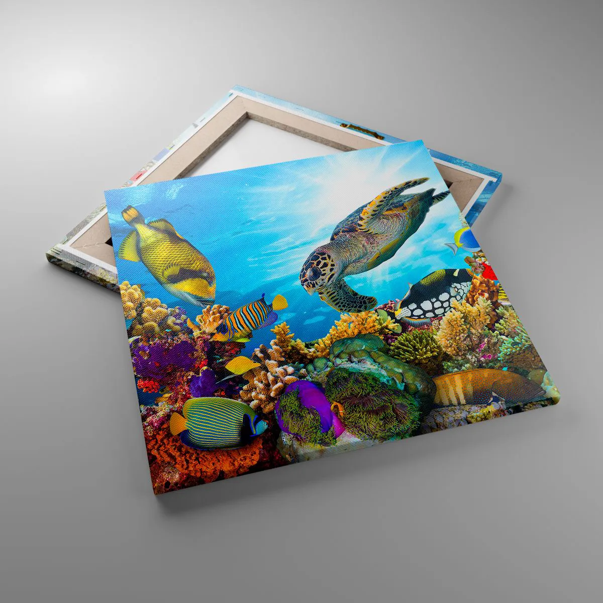 Impression sur toile - Image sur toile - Promenade de corail - 50x50 cm