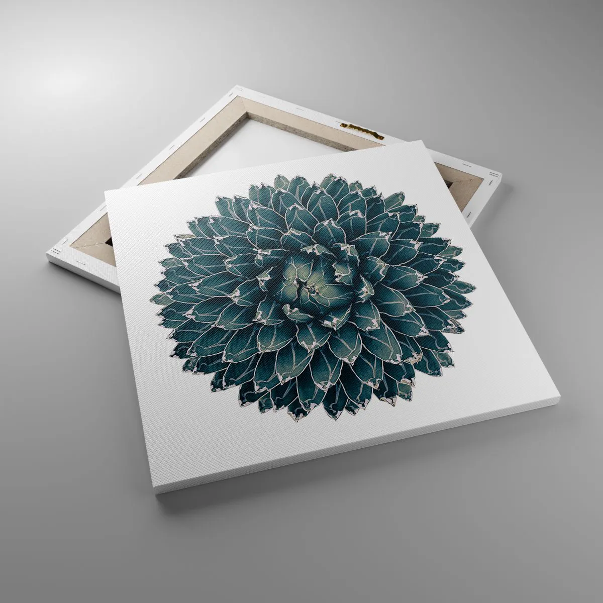 Obraz na plátne - Hviezda púšte - 50x50 cm