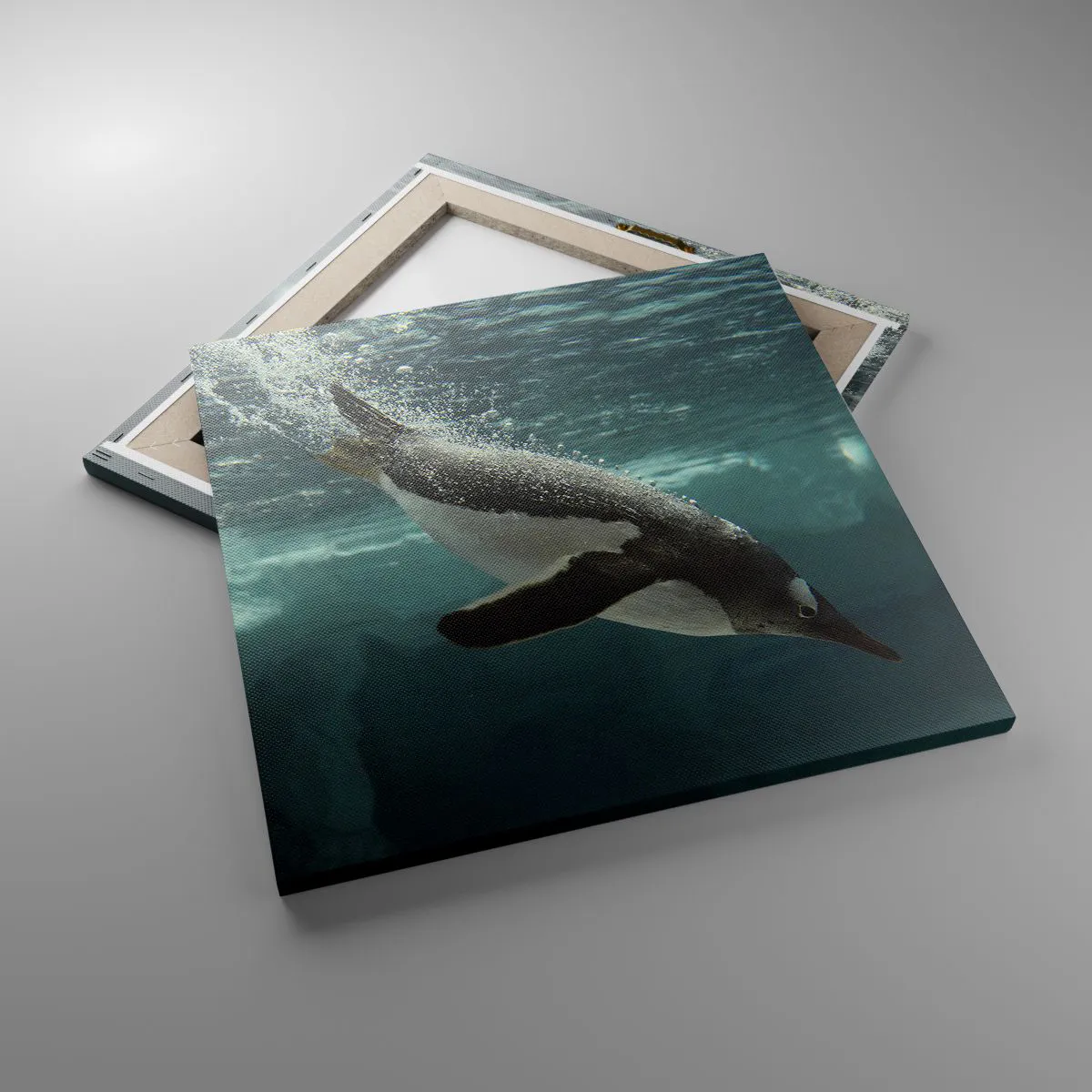 Impression sur toile - Image sur toile - Bienvenue dans mon monde - 50x50 cm