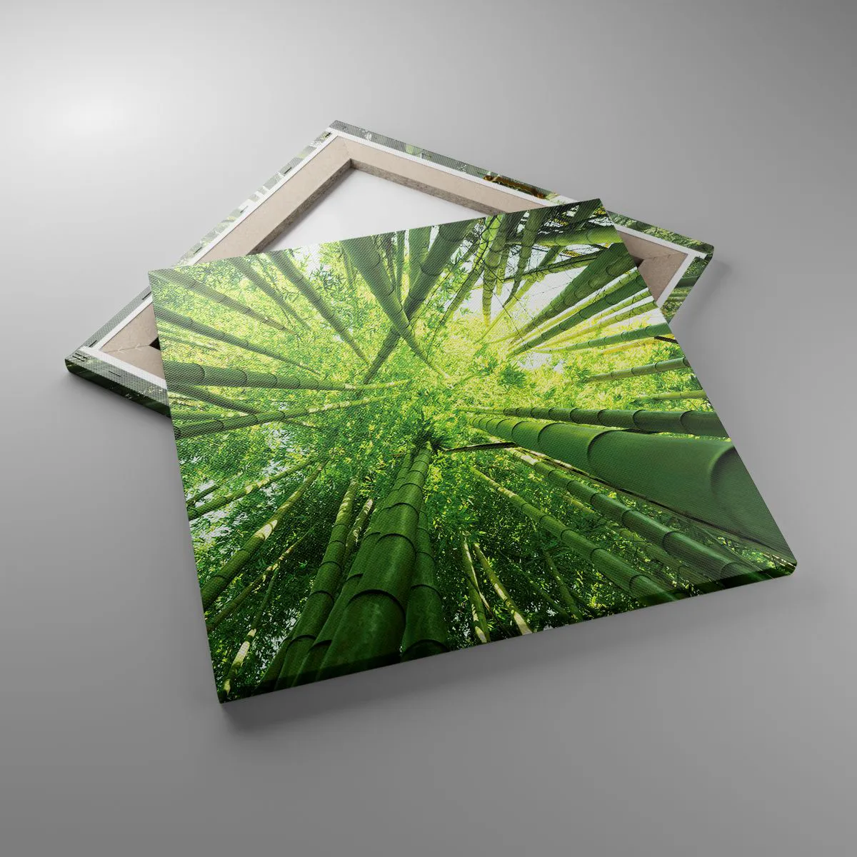 Tablou pe pânză - Într-o pădure de bambus - 50x50 cm