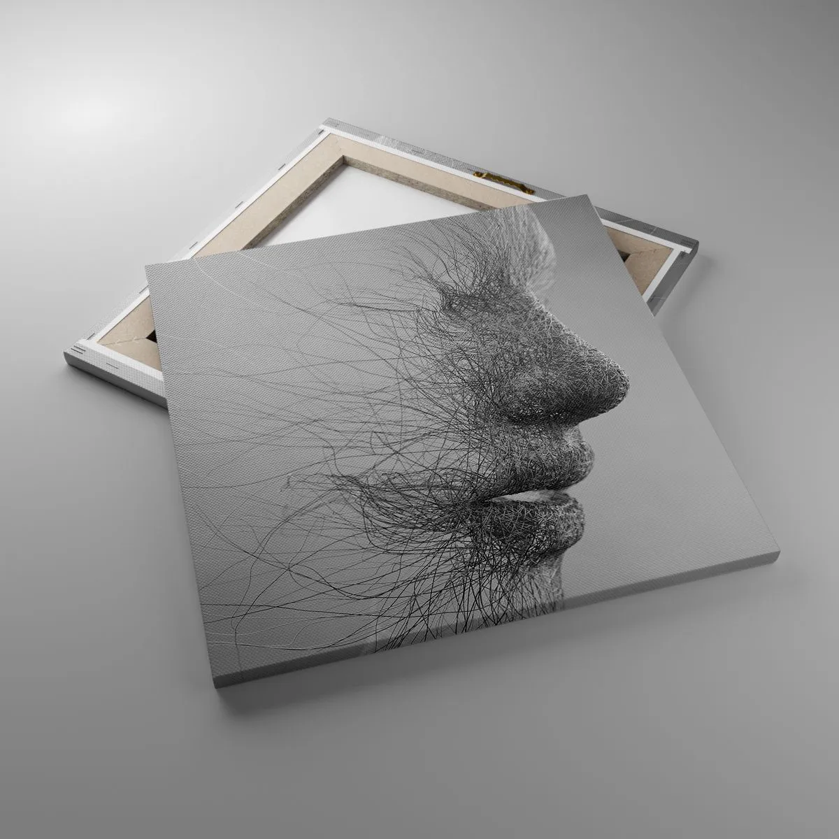 Bild auf Leinwand - Leinwandbild - Der Geist des Windes - 50x50 cm