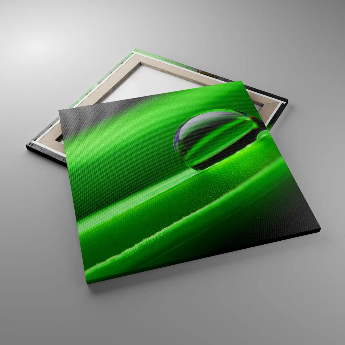 Bild auf Leinwand - Leinwandbild - Leben hautnah - 60x60 cm