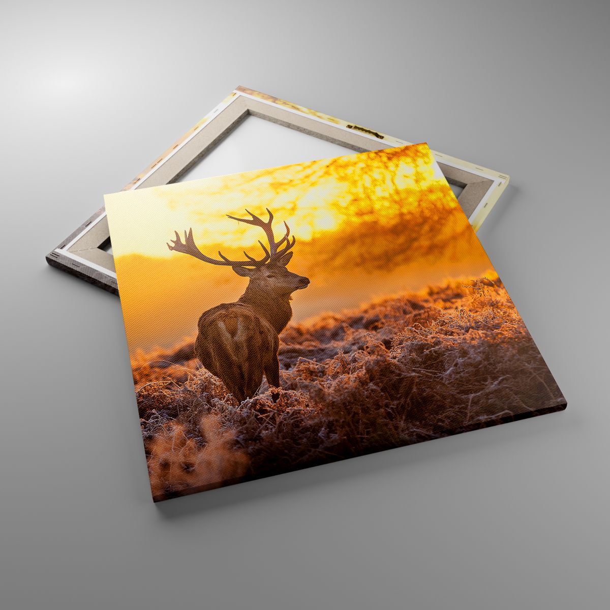 Leinwandbild Landschaft, Leinwandbild Reh, Leinwandbild Natur, Leinwandbild Sonnenaufgang, Leinwandbild Jagd