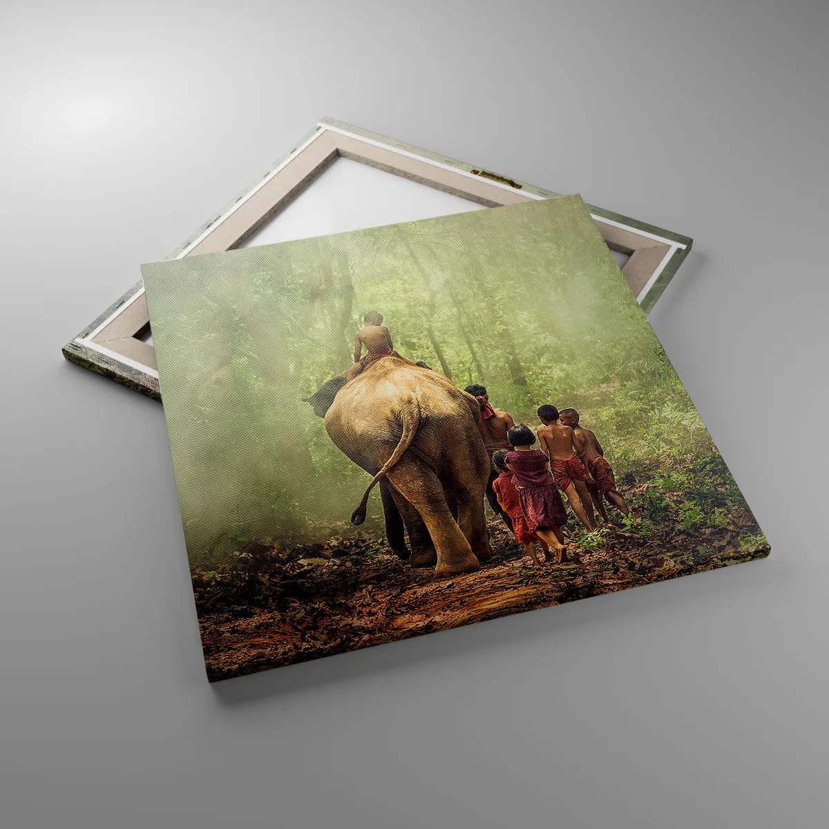 Bild auf Leinwand - Leinwandbild - Neues Dschungelbuch - 60x60 cm