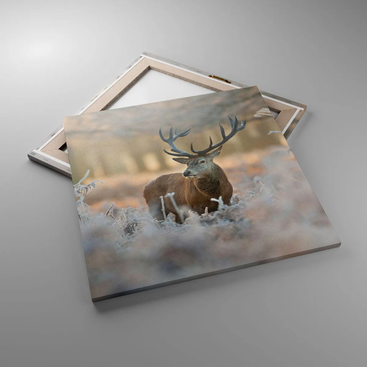 Quadro su tela - Stampe su Tela - Fresco mattino - 60x60 cm