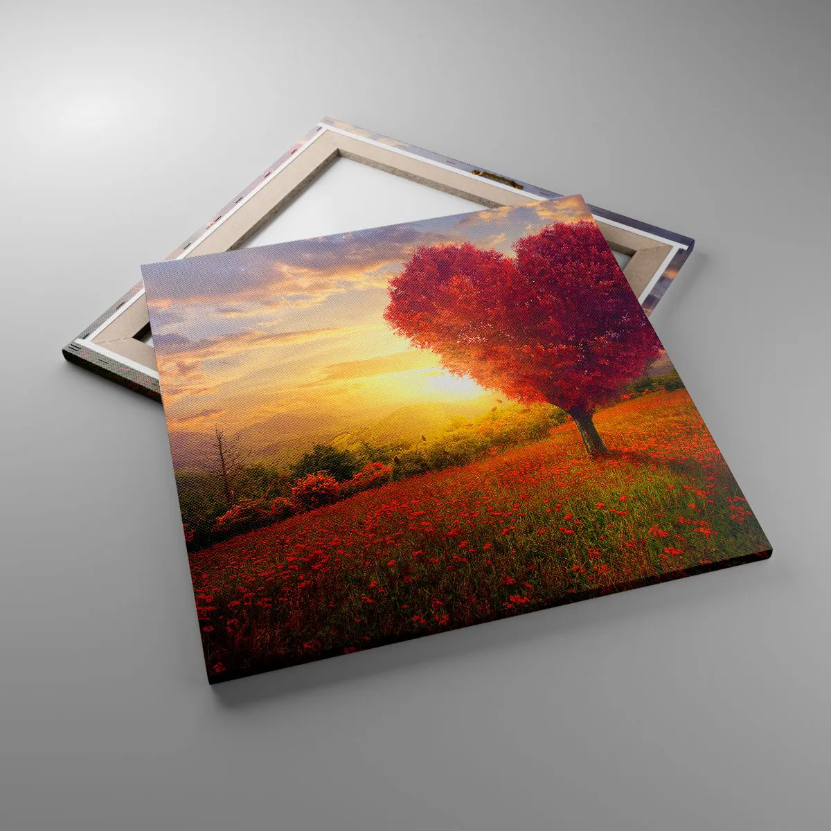 Cuadro sobre lienzo - Impresión de Imagen - Te atrapa el corazón - 60x60 cm