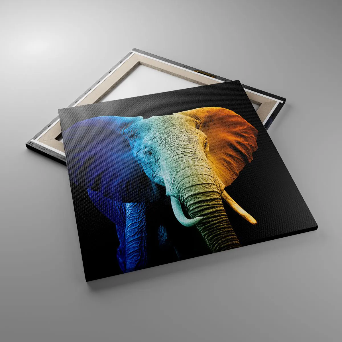 Vászonkép - Excentrikus, nem különc - 60x60 cm