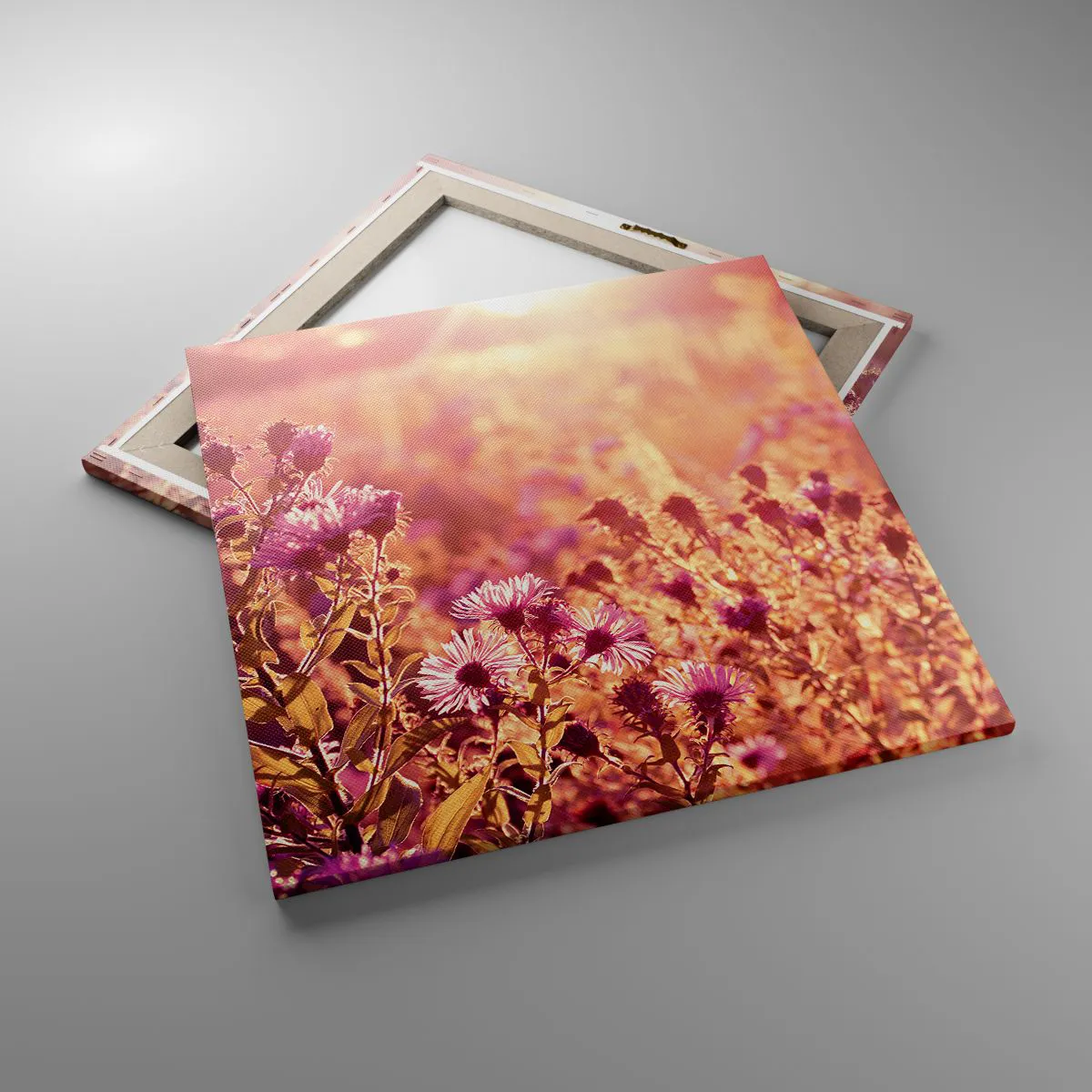 Obraz na płótnie - Przed odejściem lata - 60x60 cm