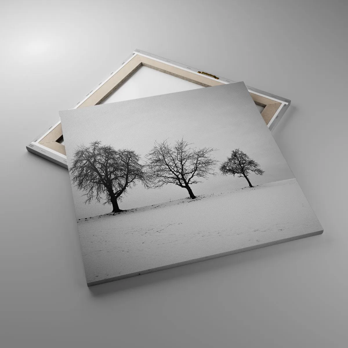 Obraz na plátne - O čom sníva? - 60x60 cm