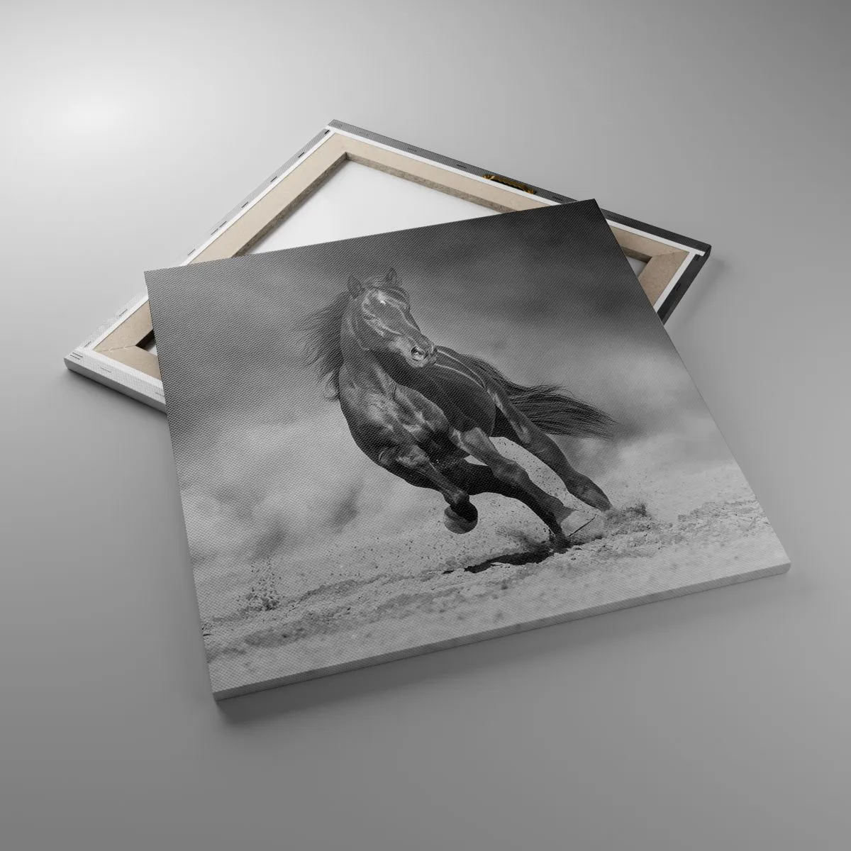 Canvas picture - Worthy of Emir Himself - 60x60 cm