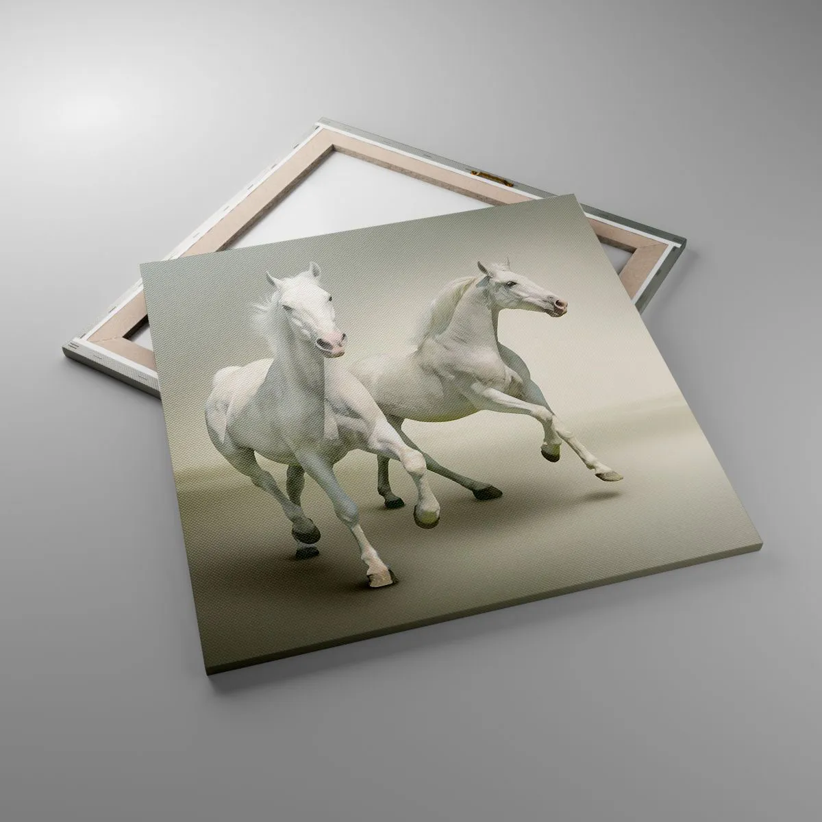 Cuadro sobre lienzo - Impresión de Imagen - ¡Poder blanco! - 70x70 cm