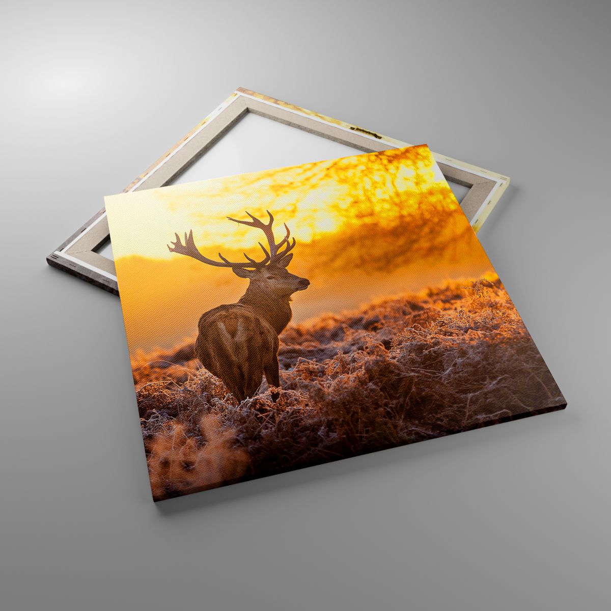 Leinwandbild Landschaft, Leinwandbild Reh, Leinwandbild Natur, Leinwandbild Sonnenaufgang, Leinwandbild Jagd