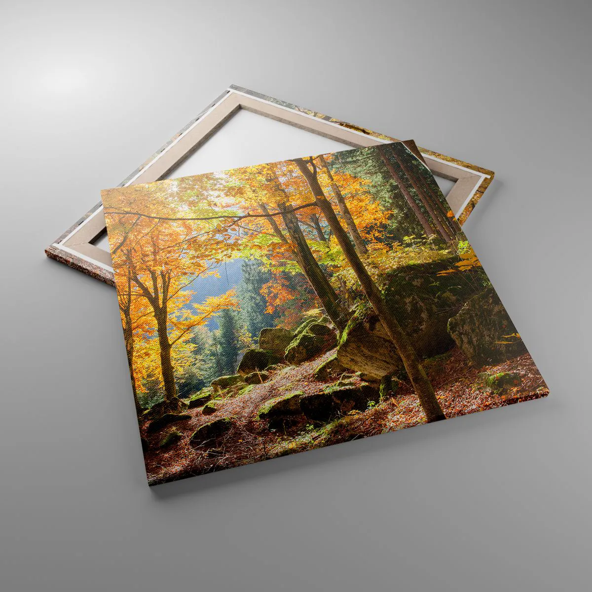 Obraz na plátne - Čas na odpočinok - 70x70 cm