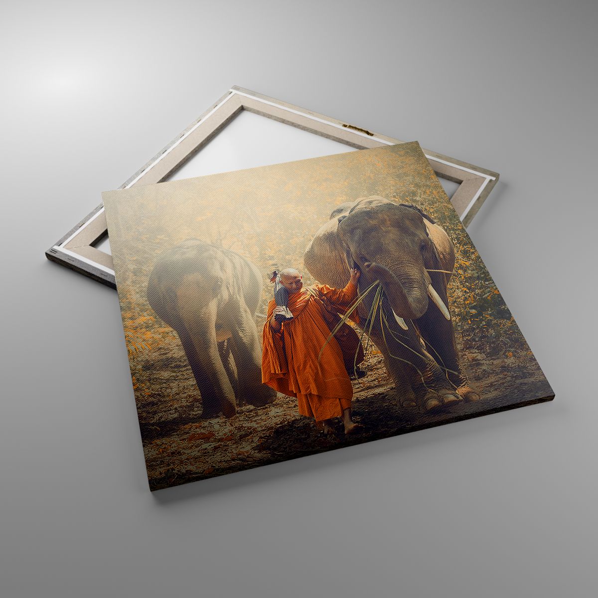 Leinwandbild Asien, Leinwandbild Elefant, Leinwandbild Mönch, Leinwandbild Urwald, Leinwandbild Buddhismus