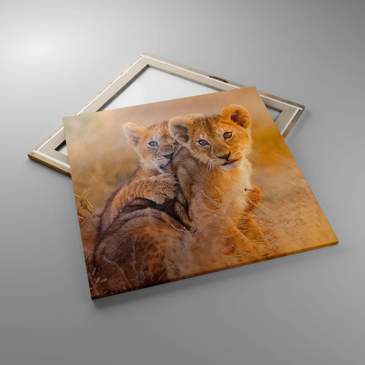 Impression sur toile - Image sur toile - Ne pas déranger! On s'amuse - 70x70 cm