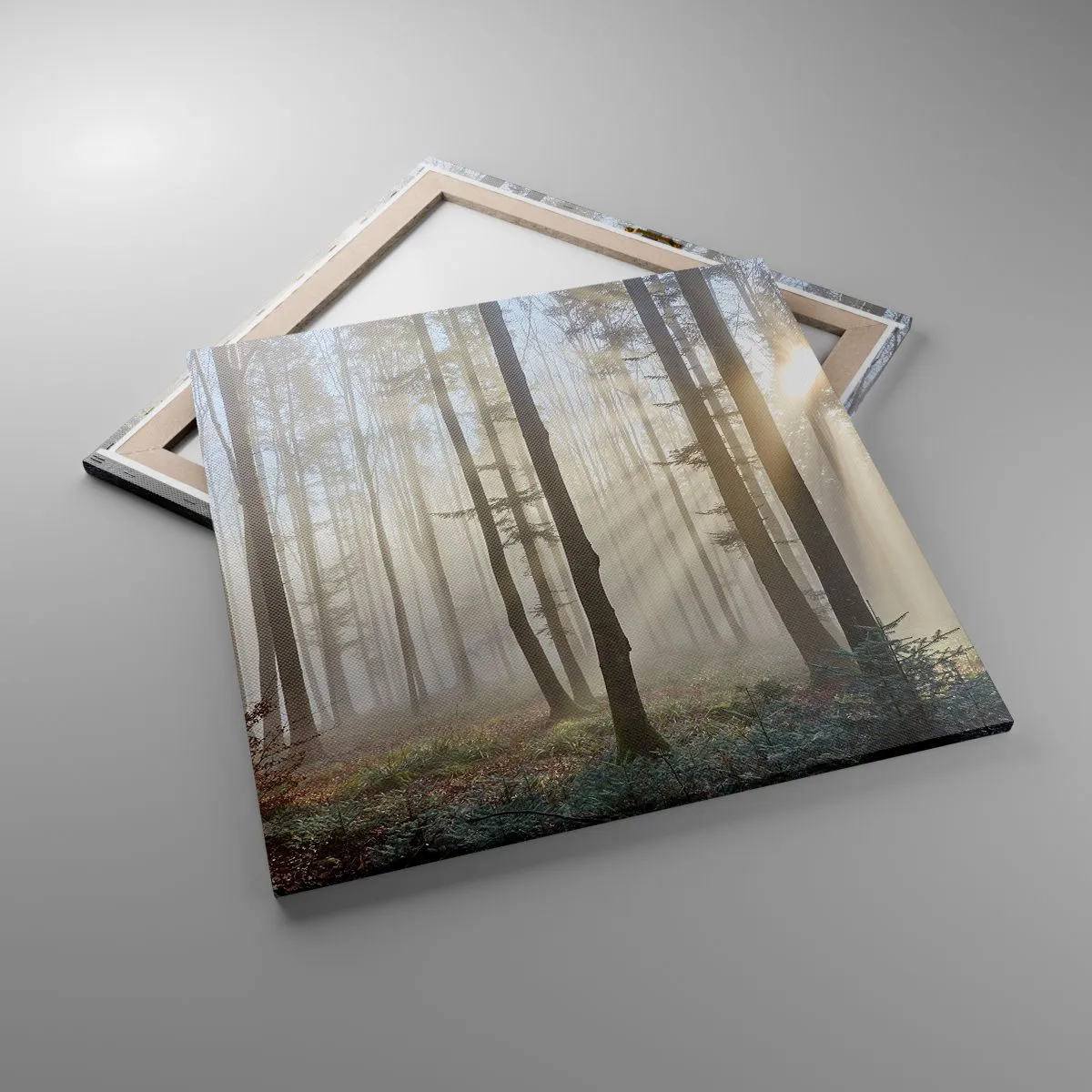 Obraz na plátně - Mlha se také vzbudila - 70x70 cm