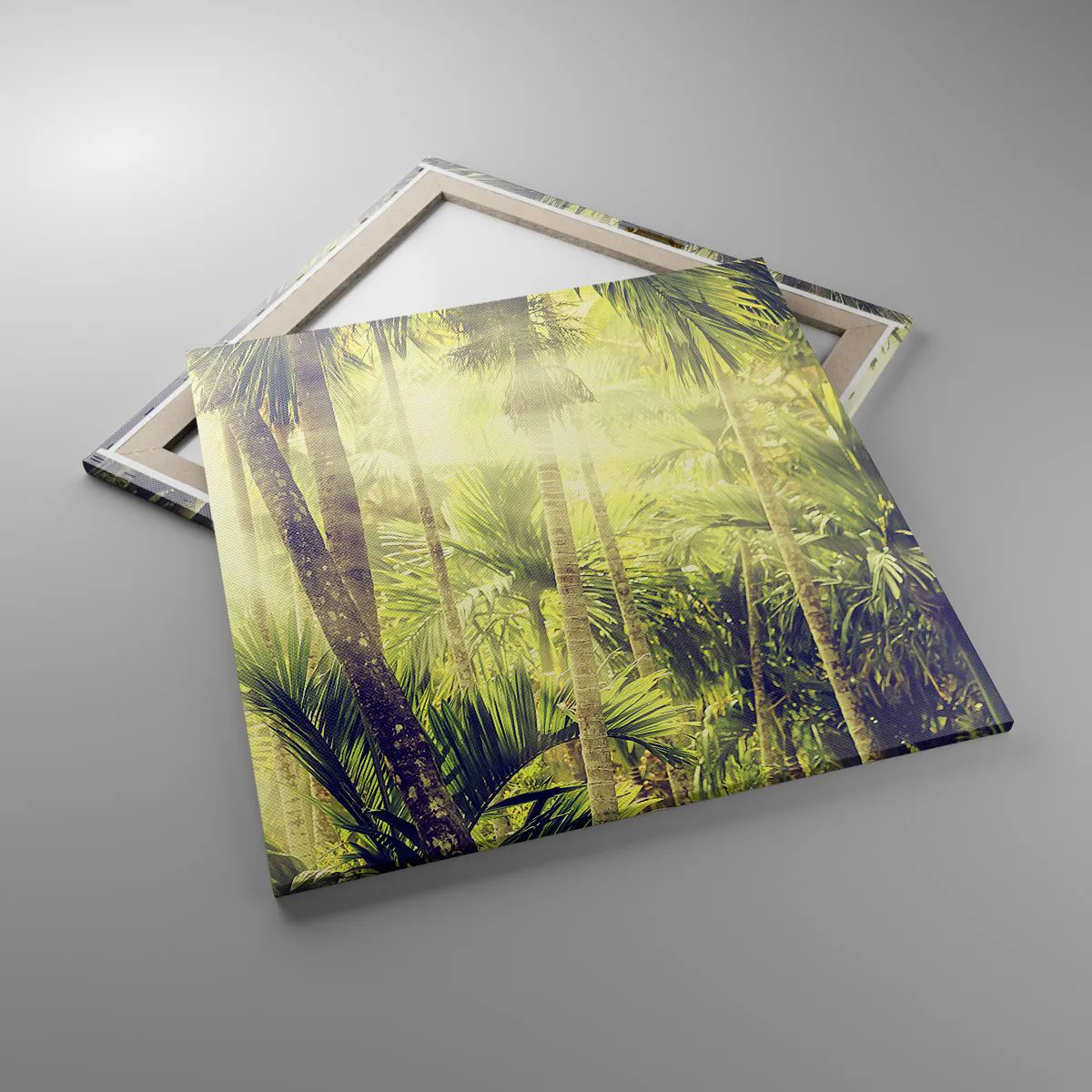 Bild auf Leinwand - Leinwandbild - In grüner Hitze - 70x70 cm