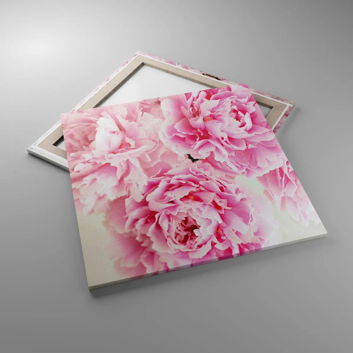 Lærredstryk - Billede på lærred - I lyserød glamour - 70x70 cm