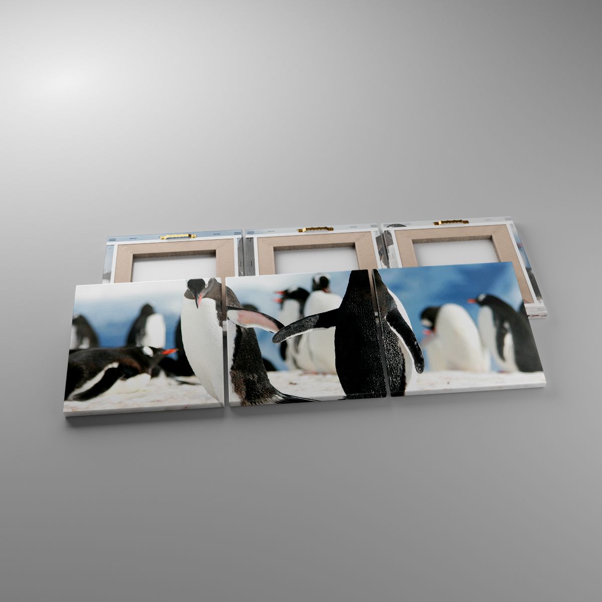 Obrazy Pingwin, Obrazy Antarktyda, Obrazy Krajobraz, Obrazy Śnieg, Obrazy Lód